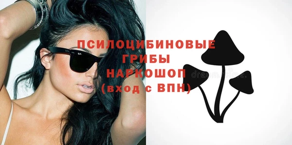 ПСИЛОЦИБИНОВЫЕ ГРИБЫ Алексеевка