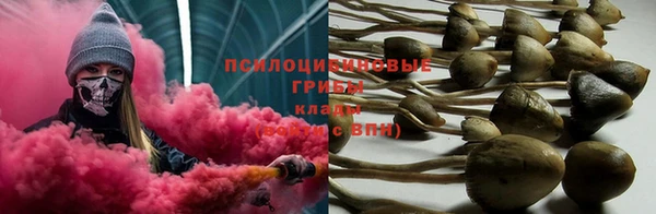ПСИЛОЦИБИНОВЫЕ ГРИБЫ Алексеевка