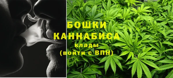 ГАЛЛЮЦИНОГЕННЫЕ ГРИБЫ Алзамай
