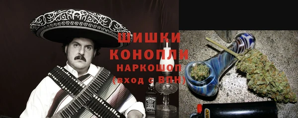 ПСИЛОЦИБИНОВЫЕ ГРИБЫ Алексеевка