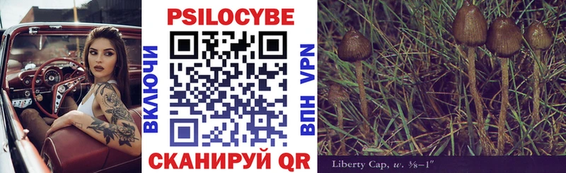 Галлюциногенные грибы мицелий  где купить   Осинники 